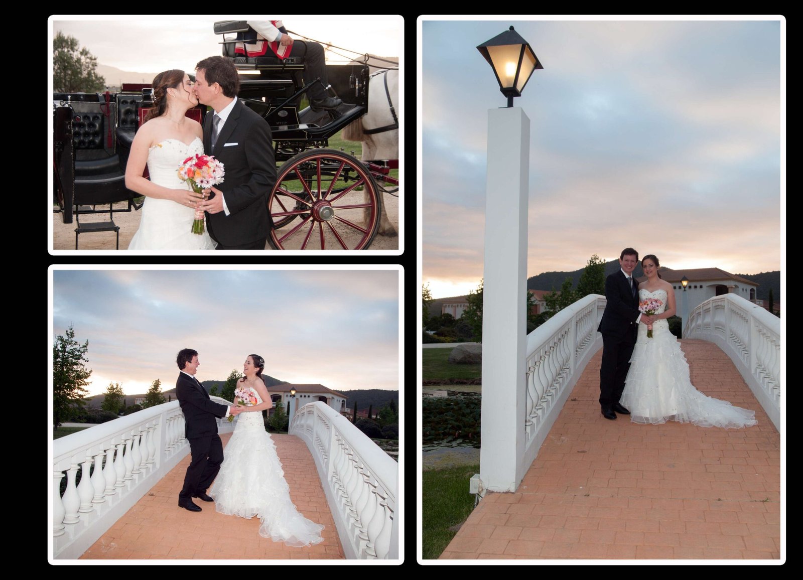 pagina (14)