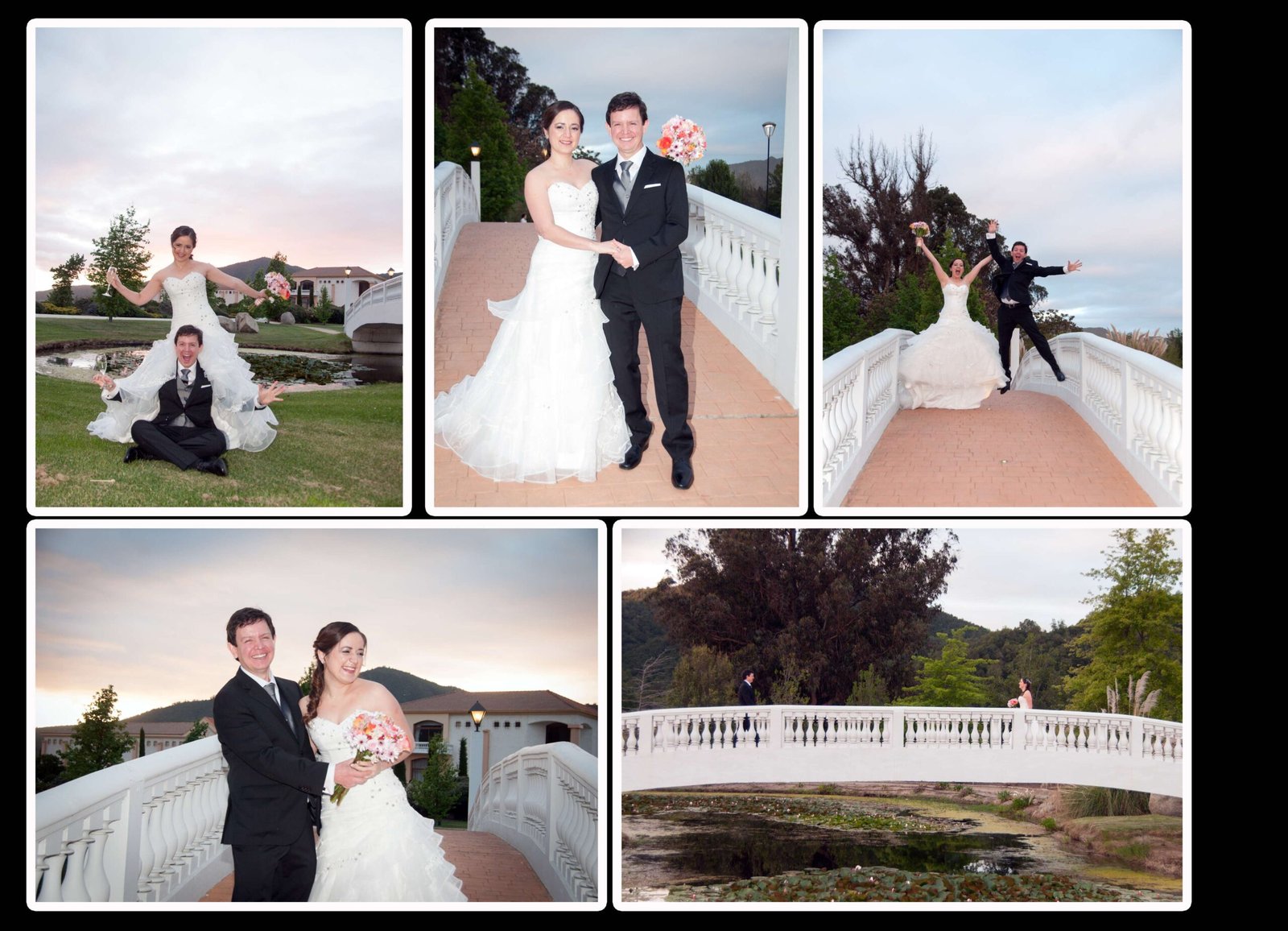 pagina (15)
