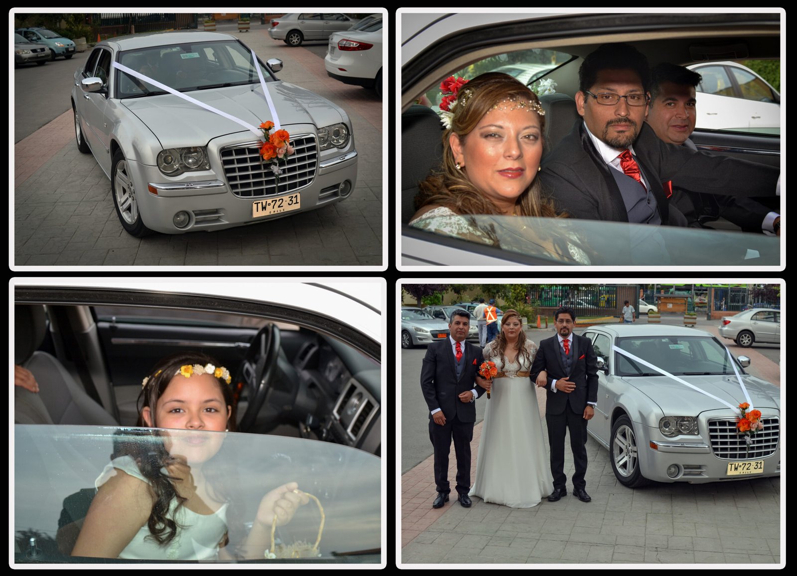 pagina (8)